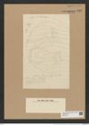Auliscus samaruensis Grove et Sturt. (de-Toni-Nr.: Genus 171, Species 4369) Zeichnungen Sammlung Grunow Nr. 7936 (NHMW-BOT-W0377215)